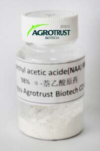 98% 1-萘乙酸原藥