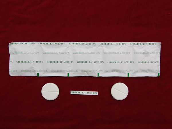 10%赤霉酸片劑